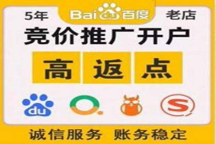百度竞价推广运营策略调整：企业增长的新动力